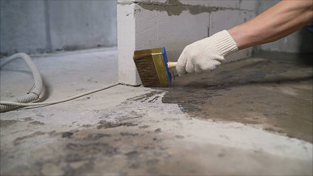 Top rated local Waterproofing specialists in New Washington, OH